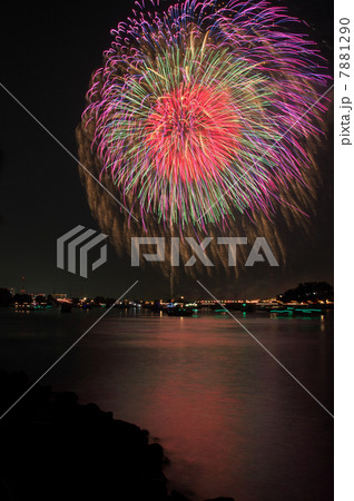 花火1 花火1 7881290