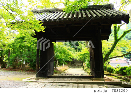 秋月黒門 7881299