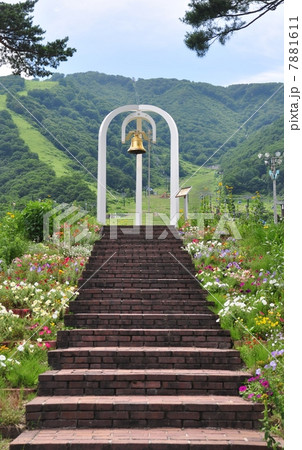 幸せの鐘 幸せの鐘 7881611