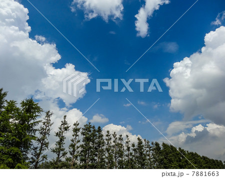 夏空 7881663