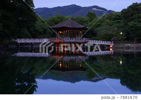 浮見堂ライトアップ 浮見堂ライトアップ 7881670