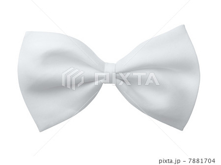 White bow tie 7881704