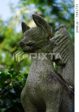 狛狐 狛狐 7881755