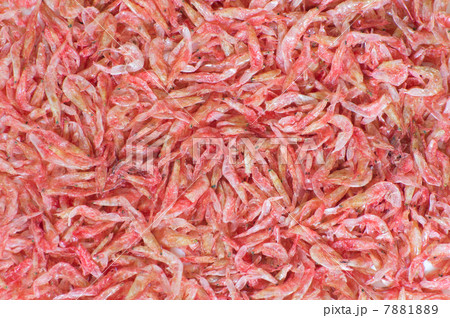 干し海老 7881889