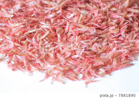 干し海老 7881890