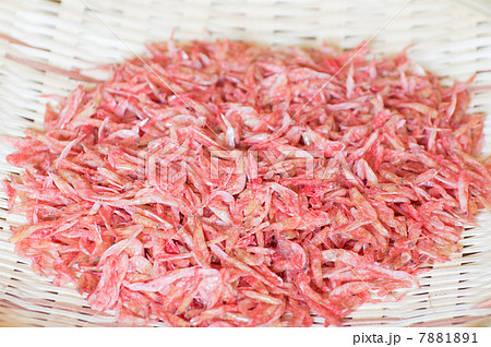 干し海老 7881891