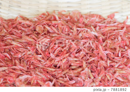 干し海老 7881892