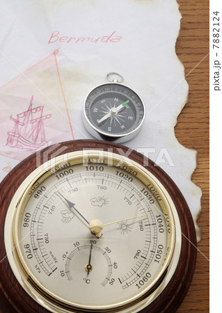 Bermudas Bermudas 7882124