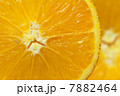 Orange 7882464