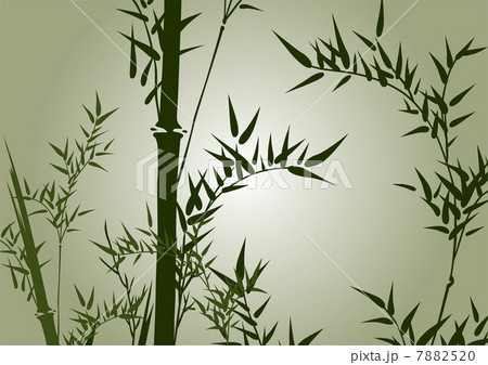 グラフィックパターン 7882520