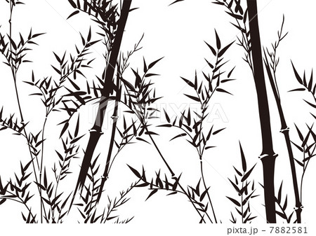 グラフィックパターン 7882581