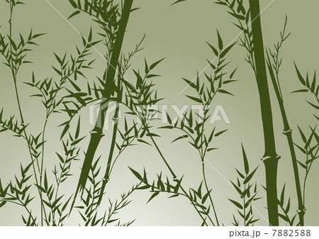 グラフィックパターン 7882588