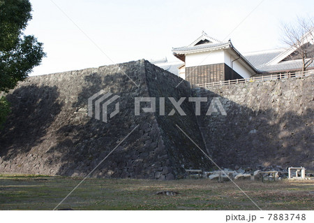 熊本　熊本城　武者返し 7883748