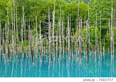 青い池 7883757
