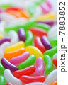 ゼリービーンズ 7883852
