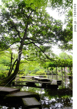 金沢・尾山神社・神苑【縦】 7884049