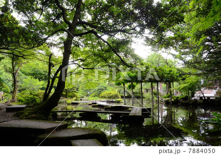 金沢・尾山神社・神苑【横】 金沢・尾山神社・神苑【横】 7884050