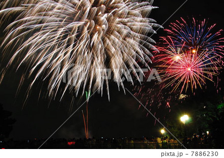 夜空に舞う花 夜空に舞う花 7886230