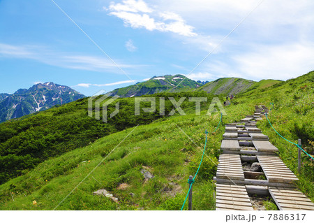 八方尾根自然研究路 7886317