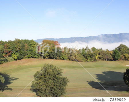 朝のゴルフ場 朝のゴルフ場 7889099