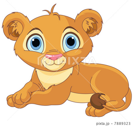 Resting little lion cub Resting little lion cub 7889323