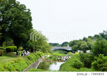 夏の南浅川橋 多摩御陵入口 夏の南浅川橋 多摩御陵入口 7889893
