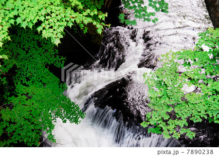 癒しの小滝 7890238