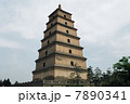 大雁塔 7890341