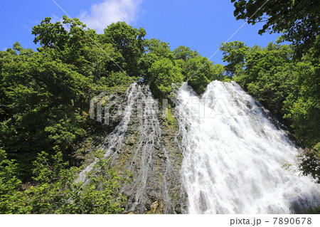オシンコシンの滝 オシンコシンの滝 7890678