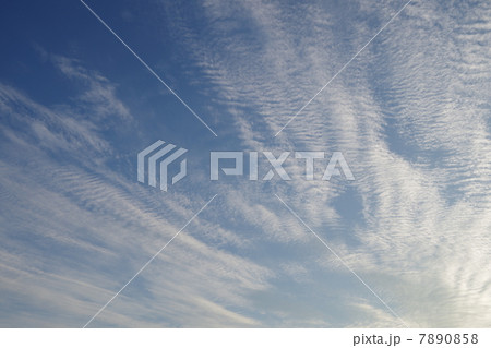 初夏の空 初夏の空 7890858