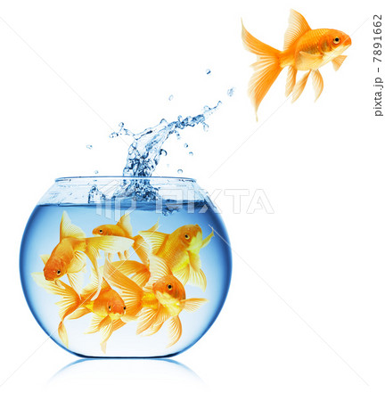 Close up view of fish bowl isolated 7891662