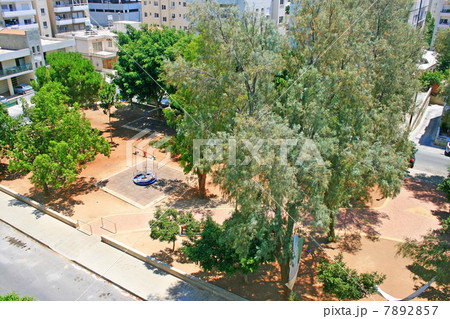 Tropical city 7892857