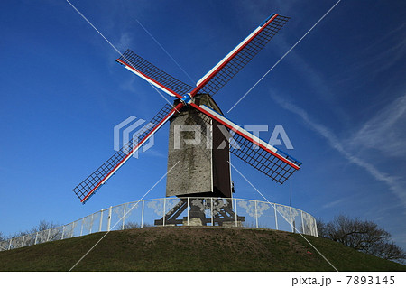 ブルージュ ブルージュ 7893145