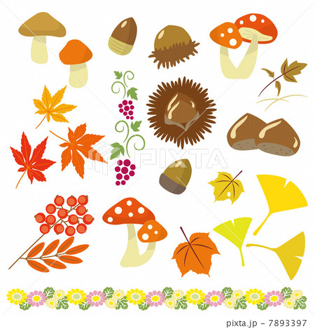 秋の植物 セットのイラスト素材 秋の植物 セットのイラスト素材