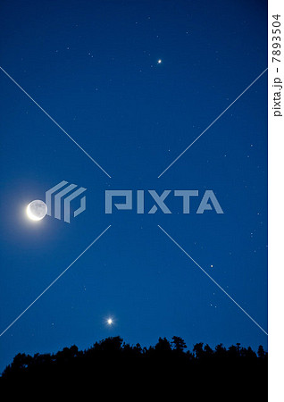 Moon and stars in the sky 7893504