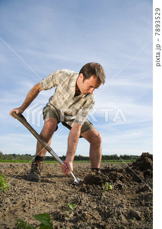 Mid adult man digging in field 7893529