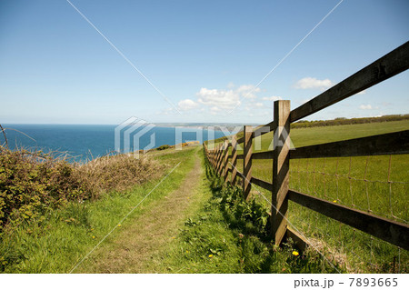 Coastal path, Cornwall, England, United Kingdom 7893665