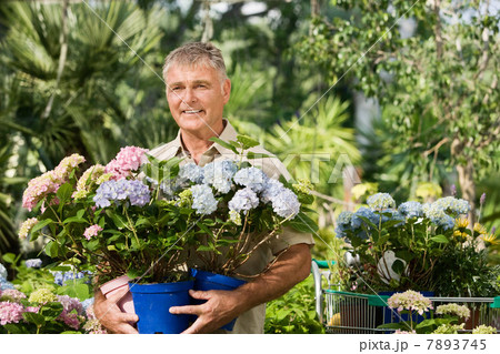 Senior man with pot plants at garden centre 7893745