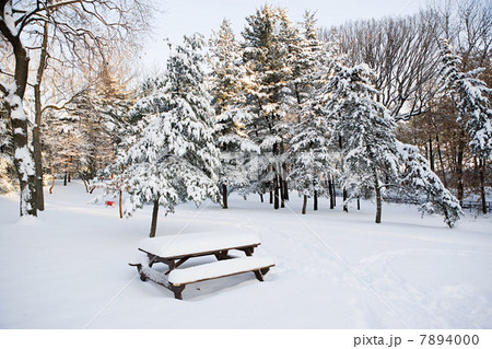 Park in winter Park in winter 7894000