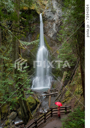Woman with umbrella admiring waterfall 7894064