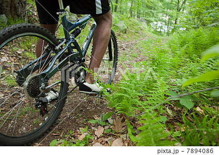 Male cyclist in forest Male cyclist in forest 7894086