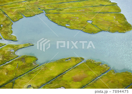 Water and landscape, Newport County, Rhode Island, USA 7894475