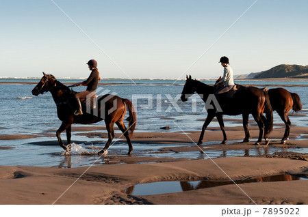 Two women riding horses on beach Two women riding horses on beach 7895022