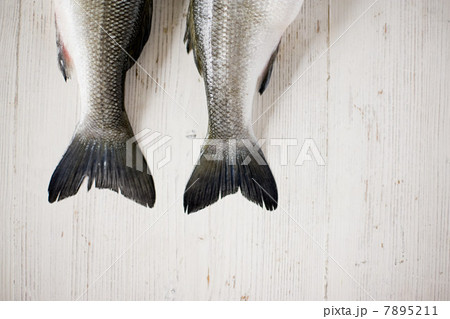 The tails of two fish side by side 7895211