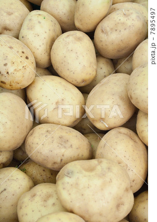 Potatoes Potatoes 7895497