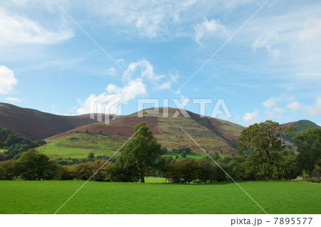 Hills, North Wales, UK 7895577