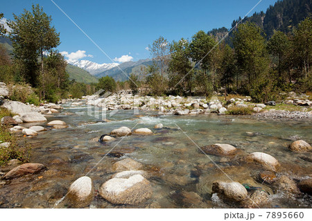 Beas River near Manali, Kullu Valley, Himachal Pradesh, India 7895660