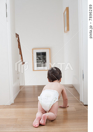 Baby crawling near stairs 7896289