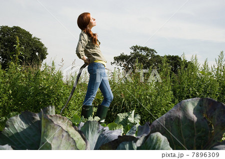 Young woman standing in cabbage field Young woman standing in cabbage field 7896309