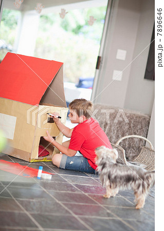 Boy building kennel for his dog Boy building kennel for his dog 7896646